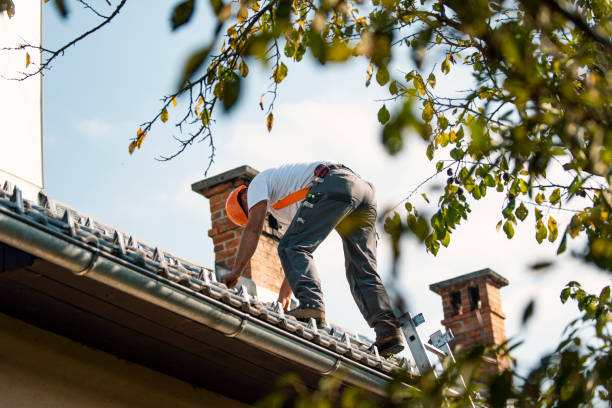 Best Local Roofing Companies  in Zion, PA